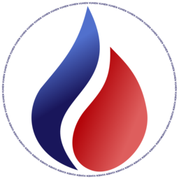 VULE ITS logo